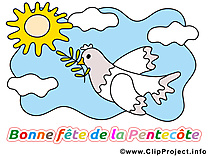 Pigeon dessin - Pentecôte cliparts à télécharger