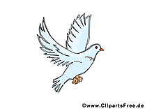 Pigeon dessins gratuits - Pentecôte clipart gratuit