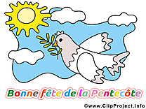 Pigeon image gratuite - Pentecôte cliparts
