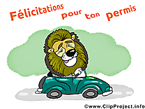 Lion jolie carte - Voiture images gratuites