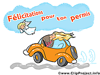 Permis de conduire  clip arts gratuits - Voiture