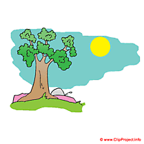 Arbre clipart gratuit