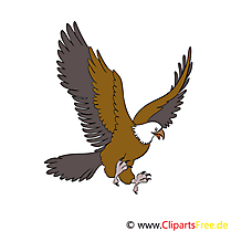 Aigle images gratuites – Animal clipart