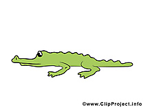 Alligator images – Animal clip art gratuit