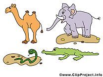 Chameau éléphant clipart – Animal dessins gratuits