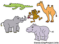 Clip art gratuit safari – Animal images