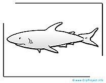 Coloriage requin clip arts gratuits – Animal illustrations