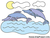 Dauphins clip arts gratuits – Animal illustrations