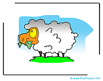 Dessin mouton – Animal clip arts gratuits
