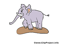 Éléphant clipart gratuit – Animal images