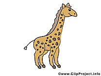 Girafe image – Animal images cliparts