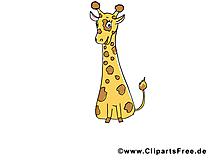 Girafe image gratuite – Animal illustration