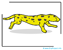 Guépard image gratuite – Animal illustration