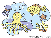 Habitants mer dessin – Animal cliparts à télécharger