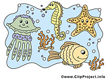 Habitants mer image gratuite – Animal illustration