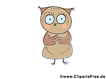 Hibou dessins gratuits – Animal clipart