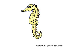 Hippocampe animal illustration à télécharger gratuite