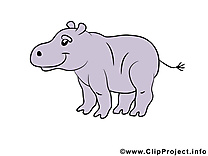 Hippopotame illustration – Animal images