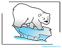 Image ours polaire à télécharger – Animal clipart