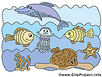 Mer dessins gratuits – Animal clipart