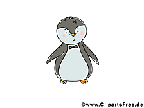 Pingouin illustration gratuite – Animal clipart