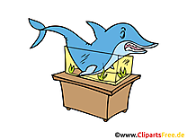 Requin clip art – Animal image gratuite