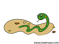 Serpent dessin – Animal cliparts à télécharger