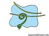 Serpent illustration gratuite – Animal clipart