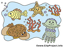 Sous-marin clipart – Animal dessins gratuits